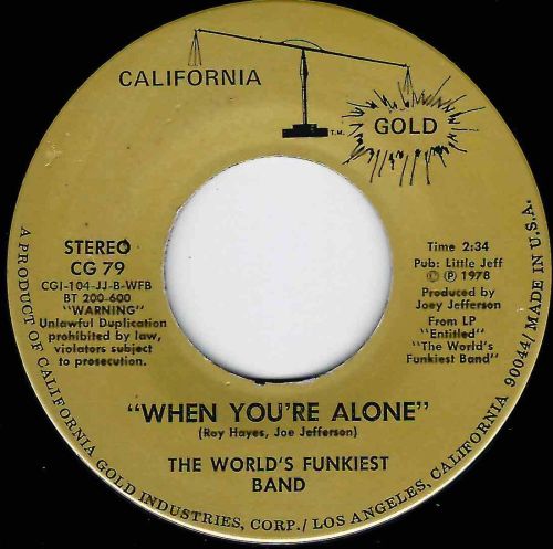 WORLD'S FUNKIEST BAND - WHEN YOU'RE ALONE