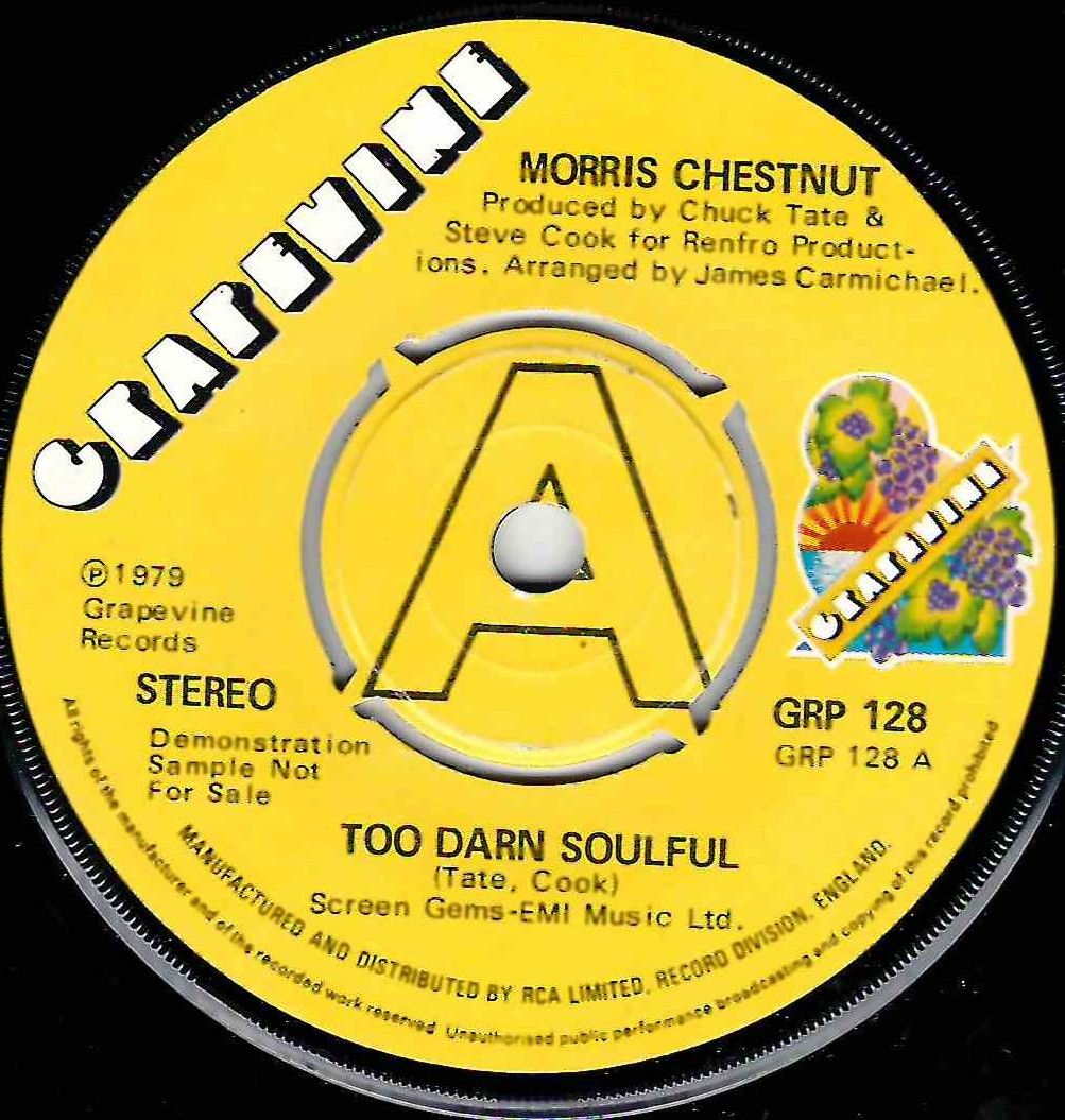 MORRIS CHESTNUT - TOO DARN SOULFUL / YOU DON'T LOVE ME ANYMORE