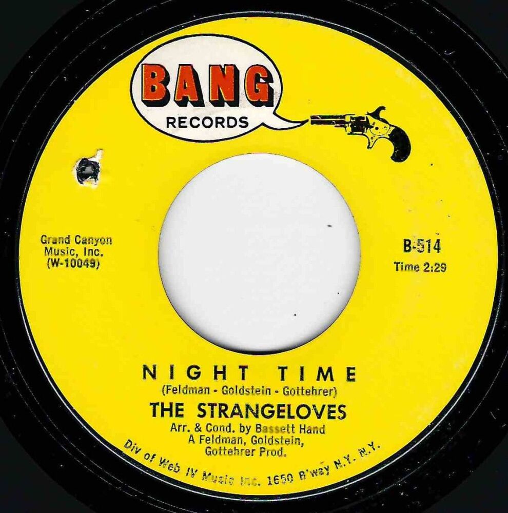 STRANGELOVES - NIGHT TIME
