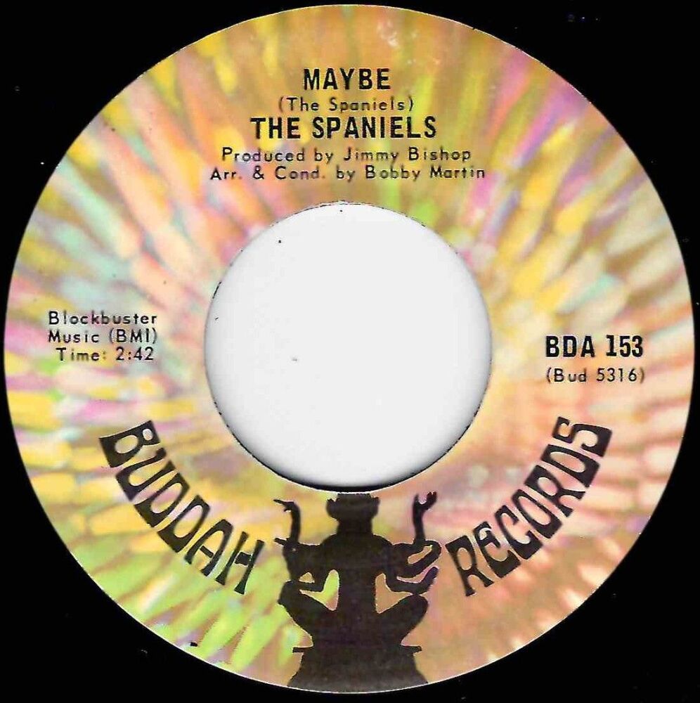SPANIELS - MAYBE