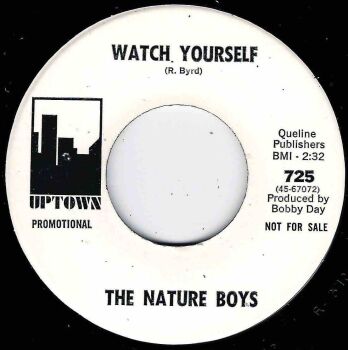 NATURE BOYS - WATCH YOURSELF / DO THE TEMPTATION