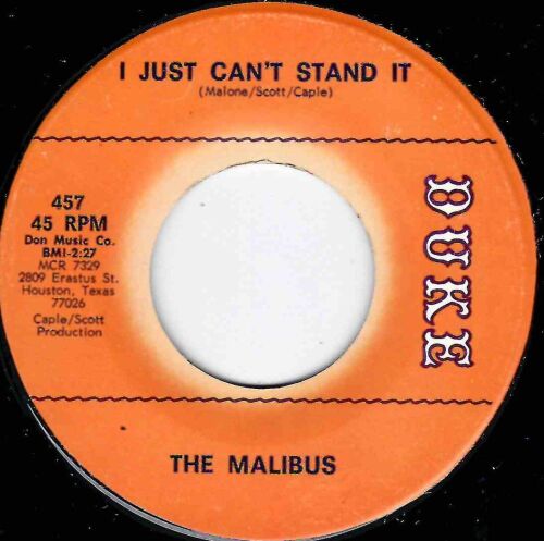 MALIBUS - I JUST CAN'T STAND IT