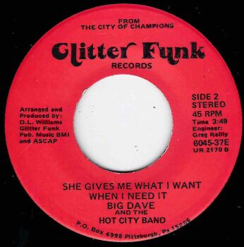 BIG DAVE AND THE HOT CITY - SHE GIVES ME WHAT I WANT