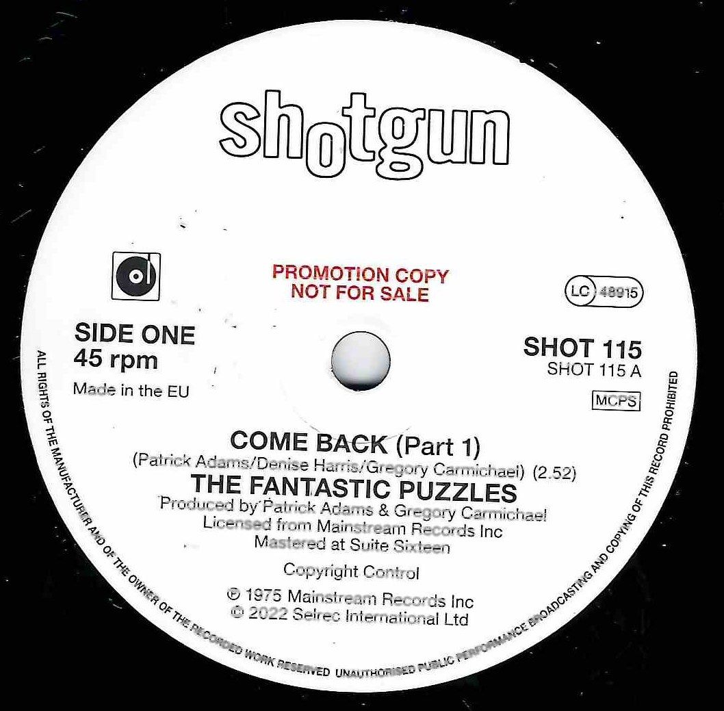 FANTASTIC PUZZLES - COME BACK