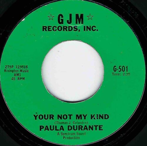 PAULA DURANTE - YOUR NOT MY KIND