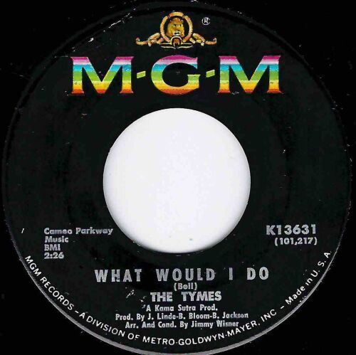 TYMES - WHAT WOULD I DO