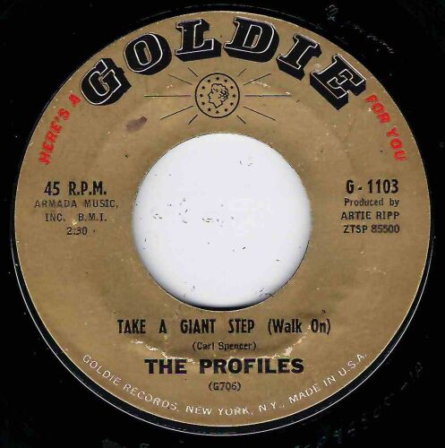 PROFILES - TAKE A GIANT STEP