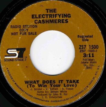 ELECTRIFYING CASHMERES - WHAT DOES IT TAKE (TO WIN YOUR LOVE)