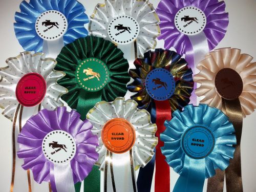 1 Tier Large Bargain Horse Related Clear Round (40)