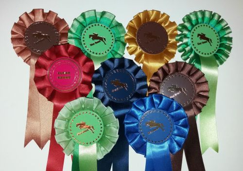 1 Tier Large Bargain Horse Related Clear Round (40)