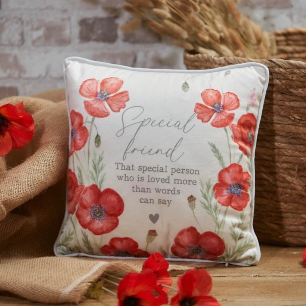 New Product….poppy velour special friend cushion