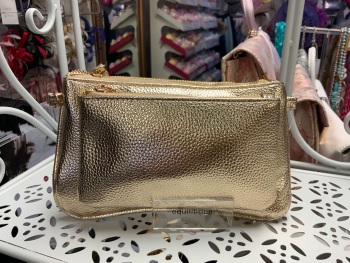 New Product….small gold metallic clutch bag/purse….two separate zipped pockets….with long gold chain and wrist strap