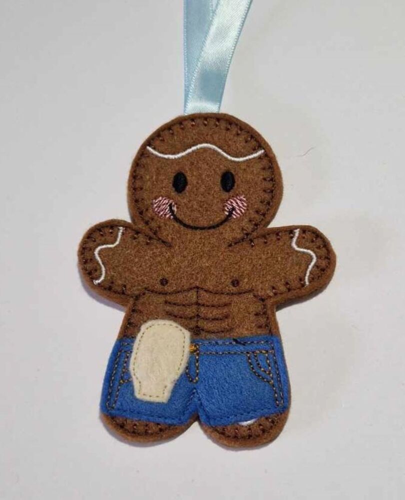 Colostomy Bag, Stoma Gingerbread Felt Hanging Decoration, Christmas Tree Decoration. Available as Keyring & Fridge Magnet too.