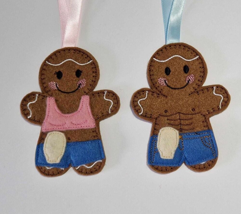 Colostomy Bag, Stoma Gingerbread Felt Hanging Decoration, Christmas Tree Decoration. Available as Keyring & Fridge Magnet too.