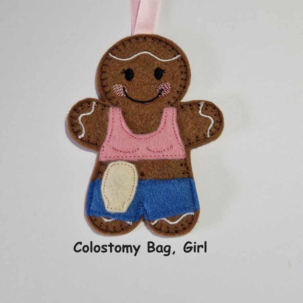 Colostomy Bag, Stoma Gingerbread Felt Hanging Decoration, Christmas Tree Decoration. Available as Keyring & Fridge Magnet too.