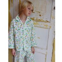 Dinosaur Pyjamas/pjs Traditional cotton long sleeve Style - Rex  