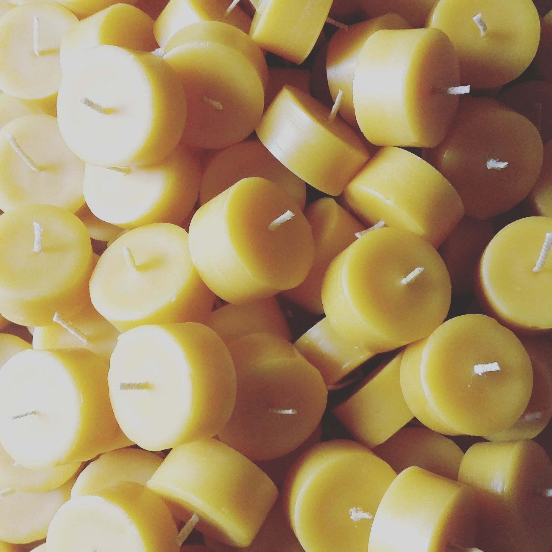 beeswax tea lights