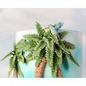 Karen Davies Tropical Leaves silicone icing mould set