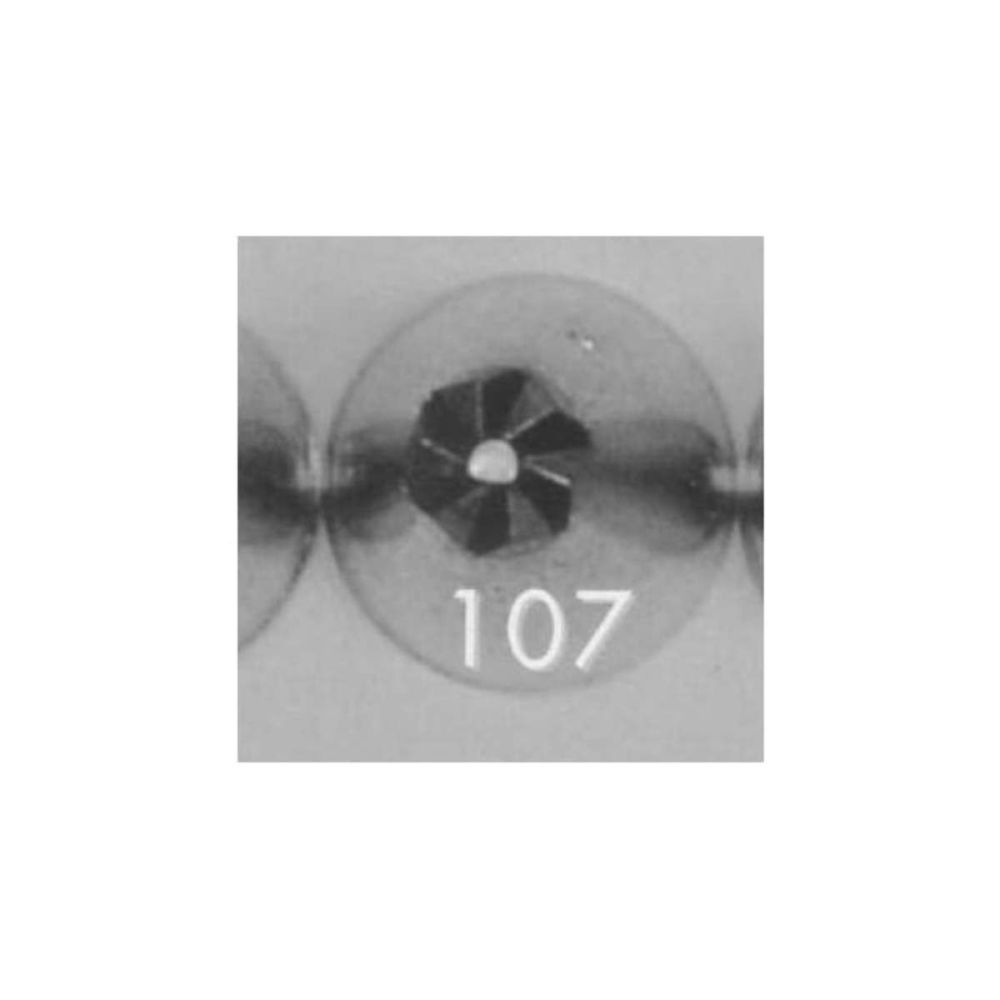 Ateco 107 piping nozzle icing tube tip (special 6 petal drop flower)
