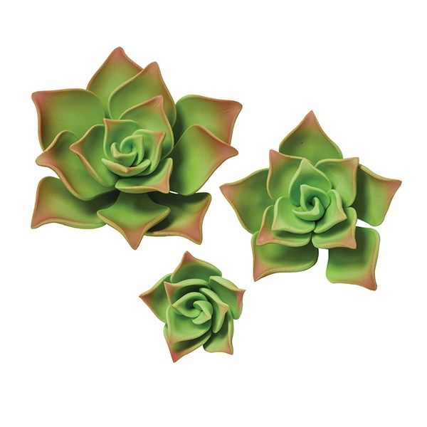 SUGARFLAIR: GUMPASTE-GREEN SUCCULENTS-38, 55 & 89mm