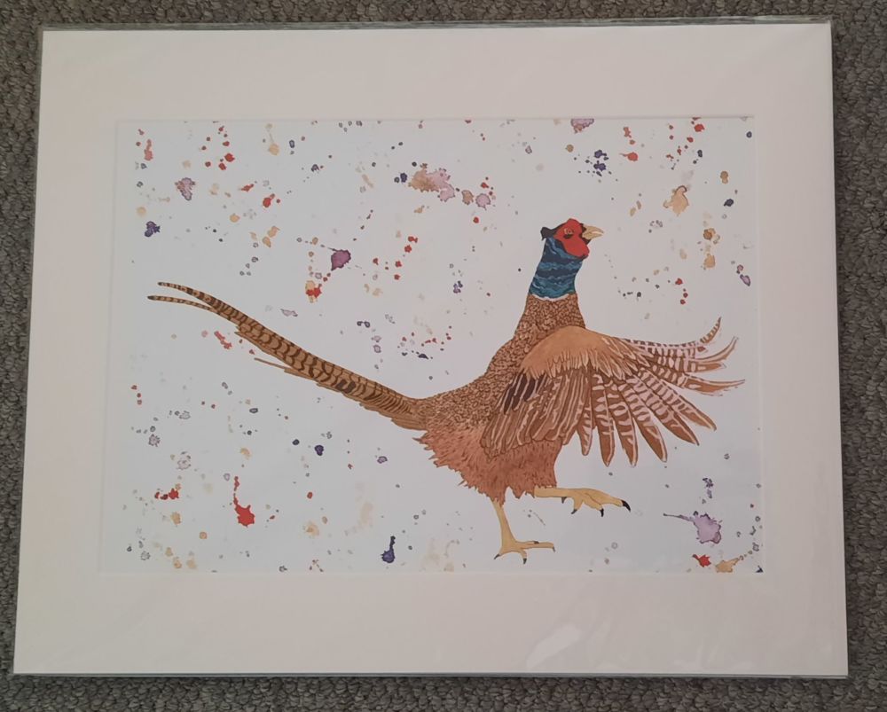 Pheasant A3 Print