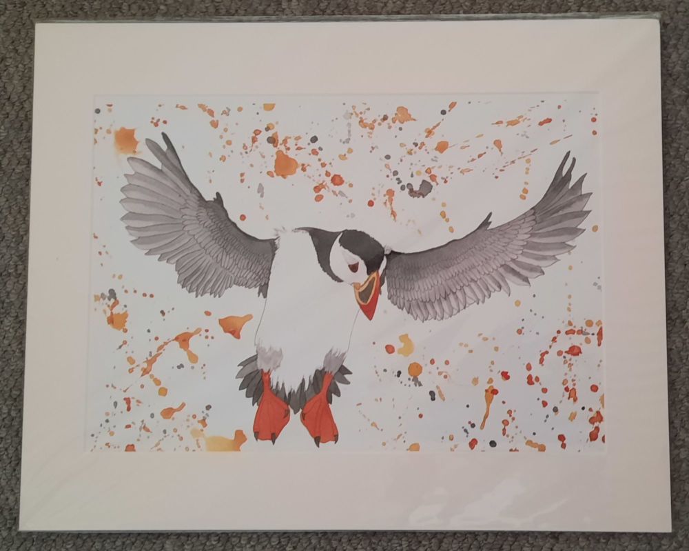 Puffin  A3 Print