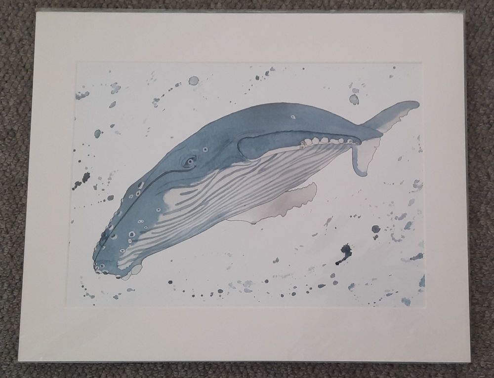 Whale A3 Print