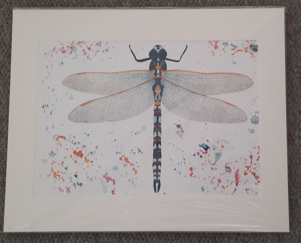 Dragonfly  A3 Print