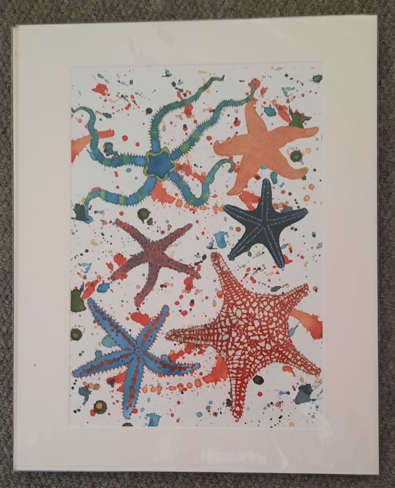 Starfish A3 Print