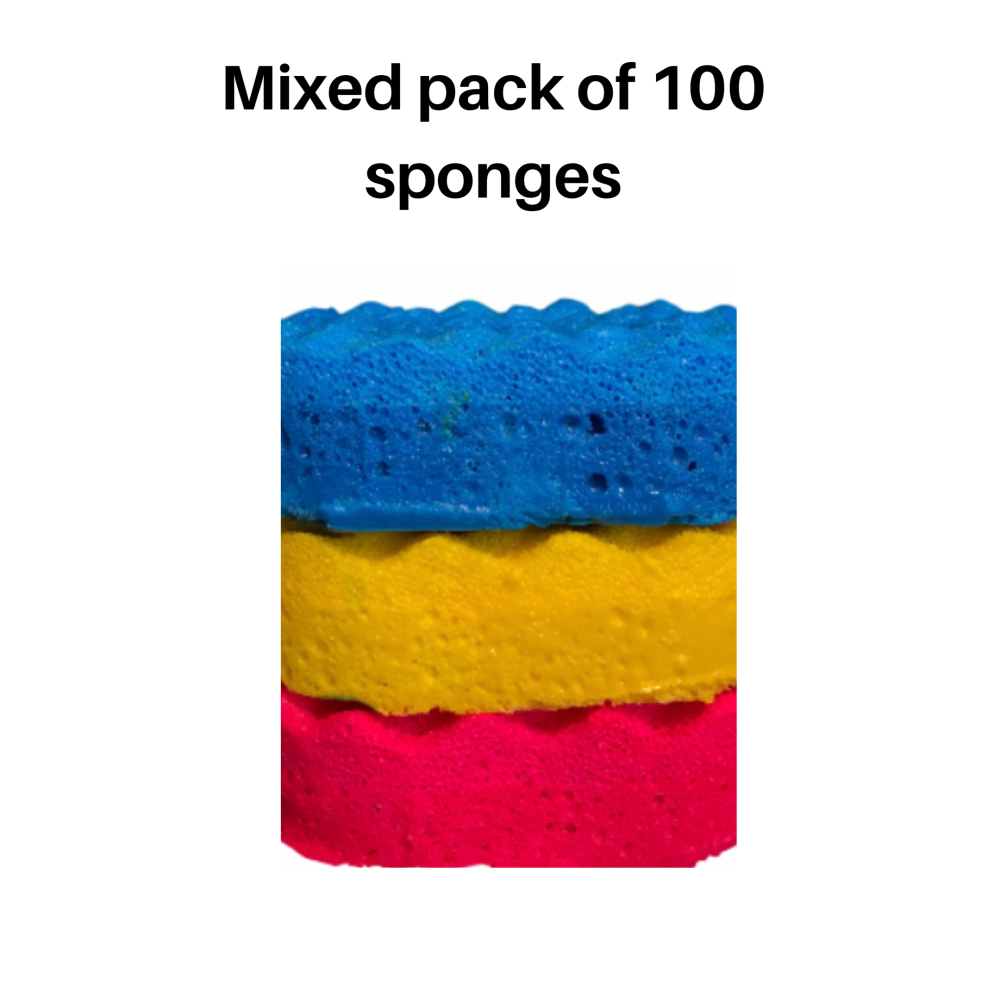 100 x Random Regular Fragrance Range Individual Soap Sponges