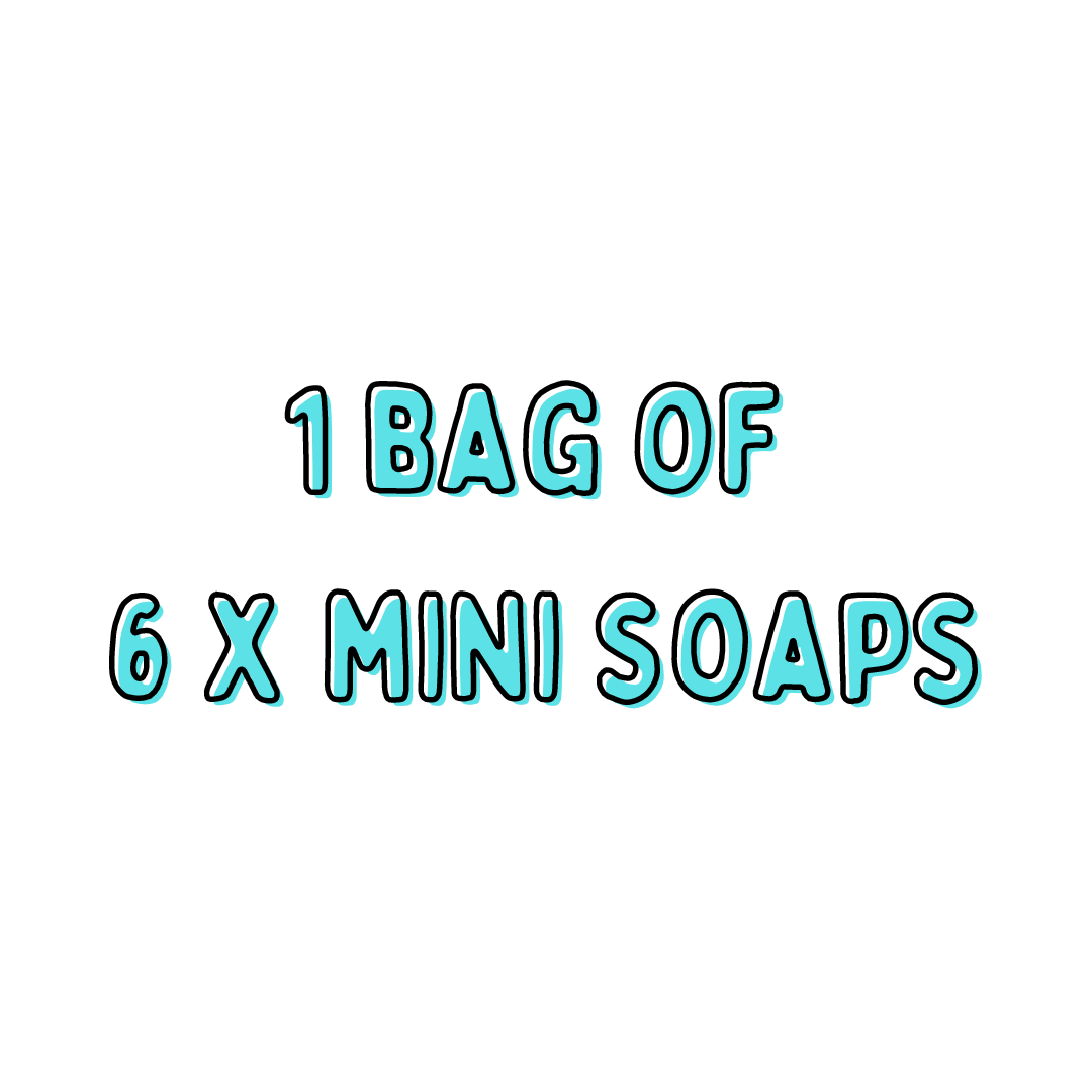 1 x bag of 6 mini soaps
