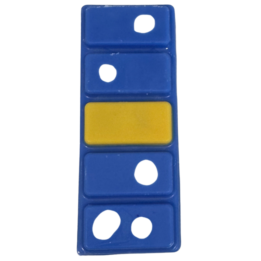 5 x Sunny Days Wax Melts