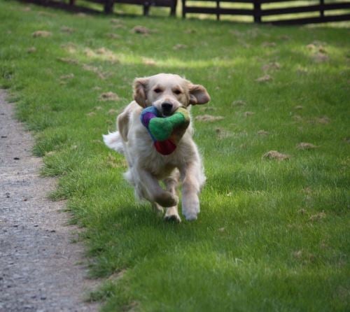 breeze with toy img_6662