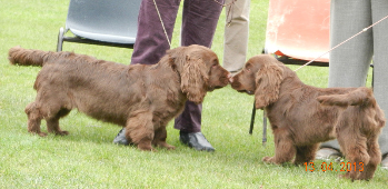 b willy wonty 5th p &amp;amp; micky 4th