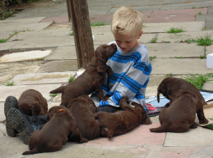 jack &amp;amp; pups