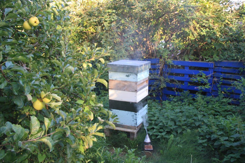Poster - hive