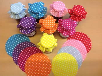 16 mixed brightly coloured dots  + bands twine & labels 