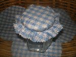 sky blue gingham fabric x36
