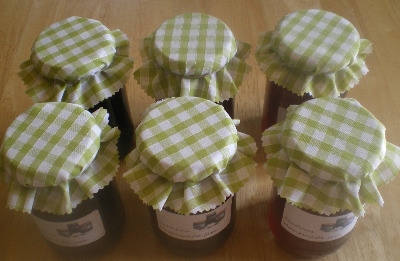 gingham jam jar covers  lime x 12