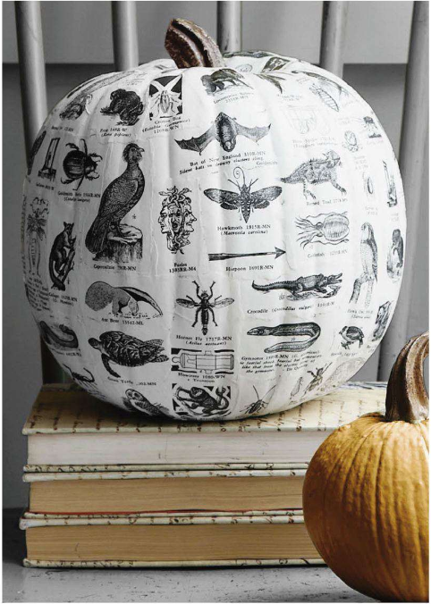 Autumn 2015 Deco: textbook-decoupage-pumpkin