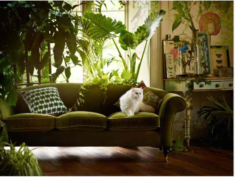 Autumn 2015 Room: Green Sofa - Screen-Shot-2015-09-08-at-16.20.47