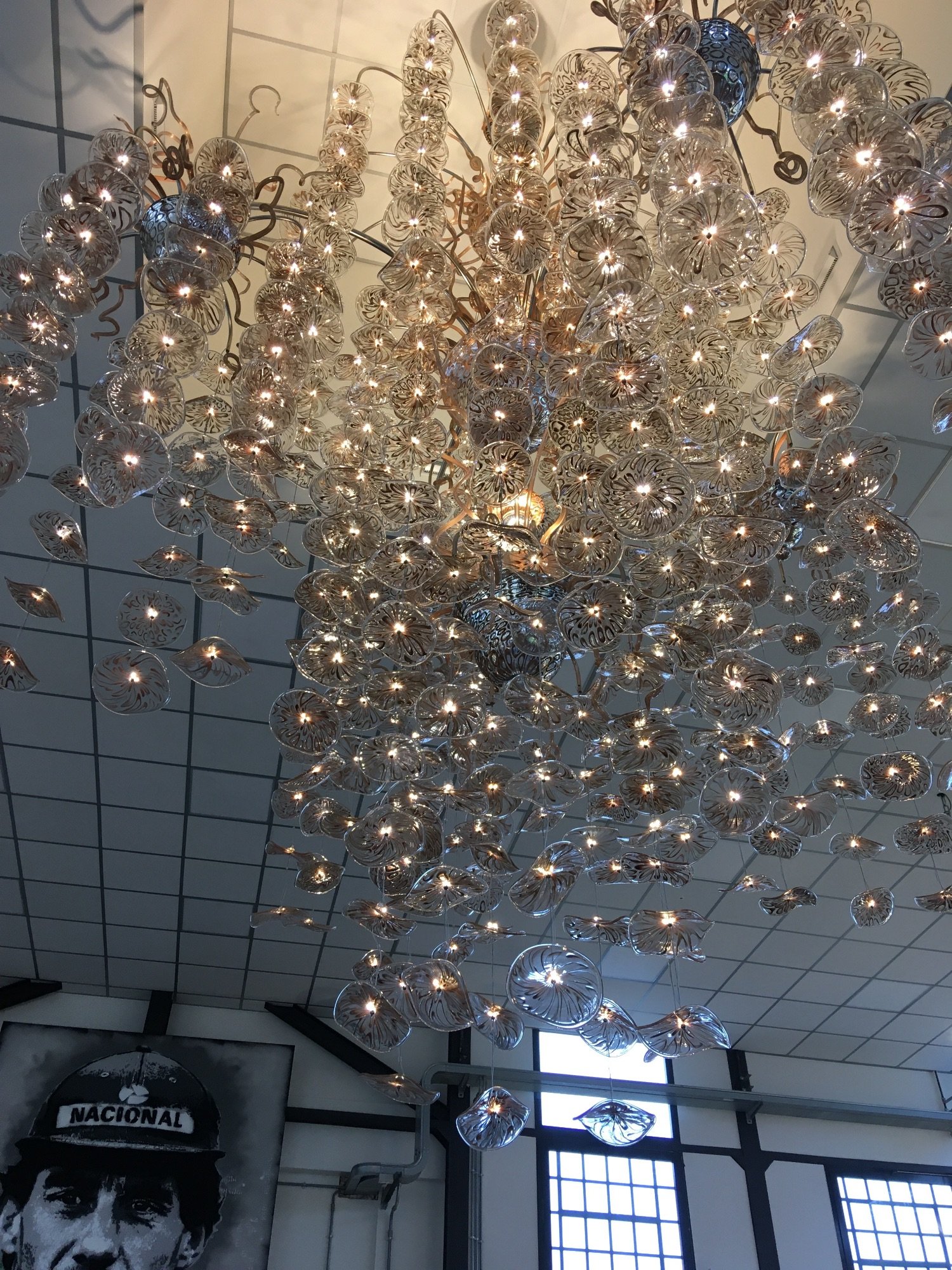 C: Chandelier IMG_0629