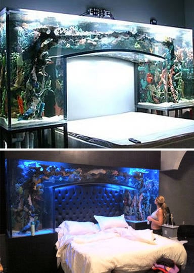 Nautic: Aquarium-Bed