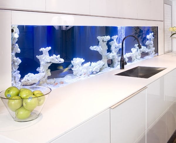 Nautic: backsplash aquarium