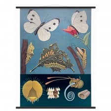 Spring 14 2: Wall Chart wpx9000-lr-ls