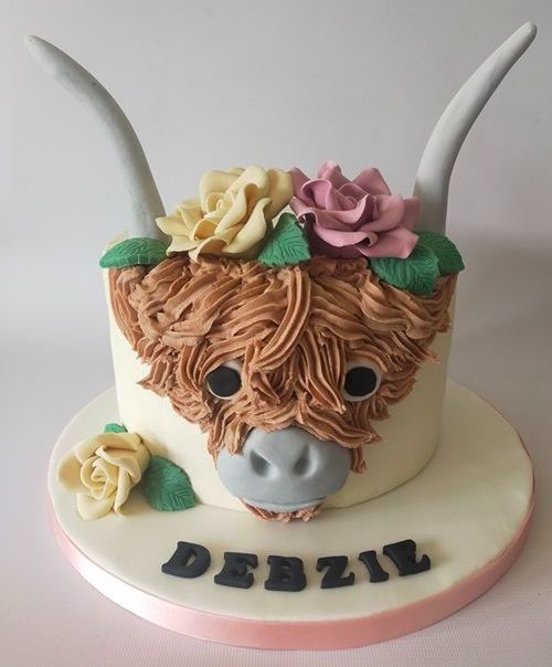 Highland cow