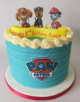 paw patrol paw patrol