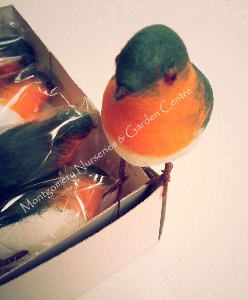 Robin With Wired Feet x 12