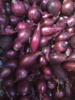 Red Baron Onion Set - 1/2kg
