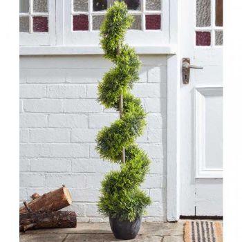 Topiary Twirl - Cypress - 120cm #55605005